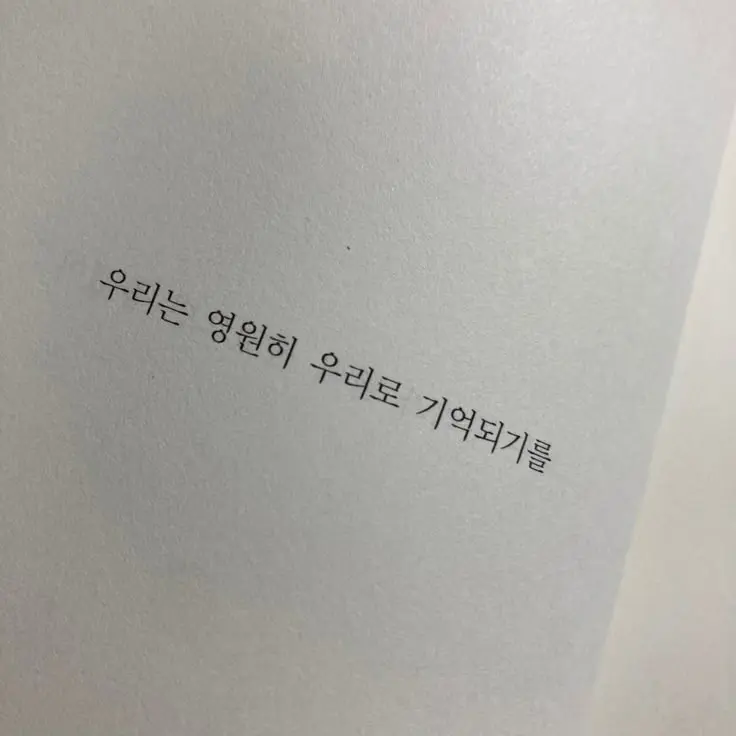 Nolucky.의 김동현