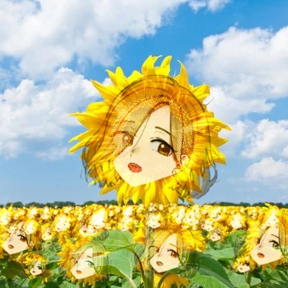 해바라기 마히루