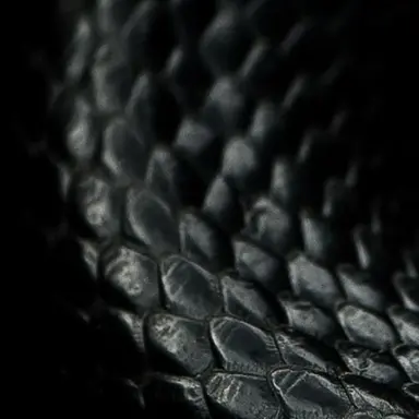 Profile image of 이창섭