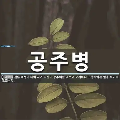 Profile image of 릴리 러브브레이즈