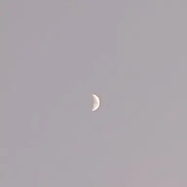 Profile image of 도윤