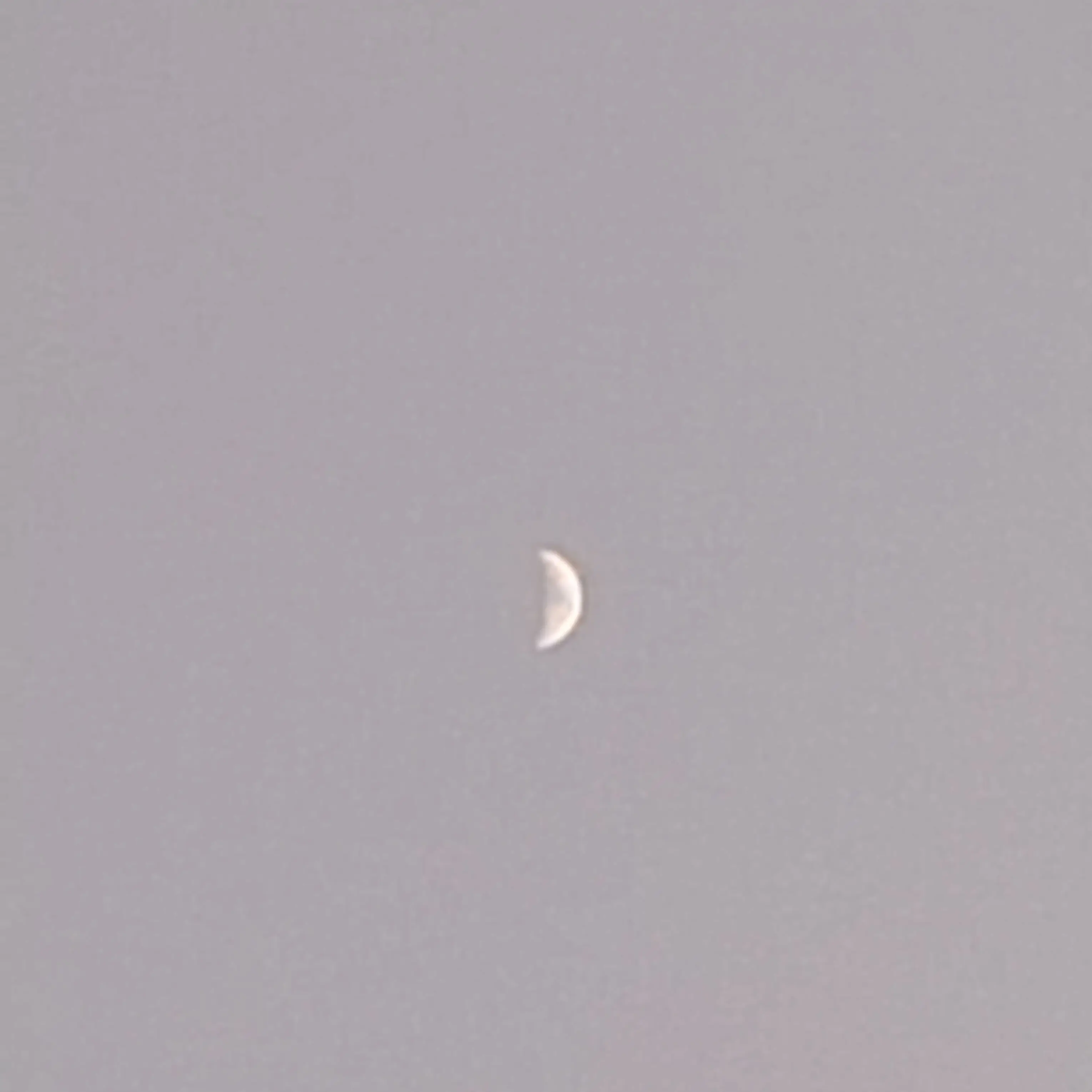 CreamEgg8427의 혼내는아빠