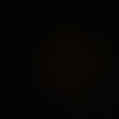 Profile image of 이리오