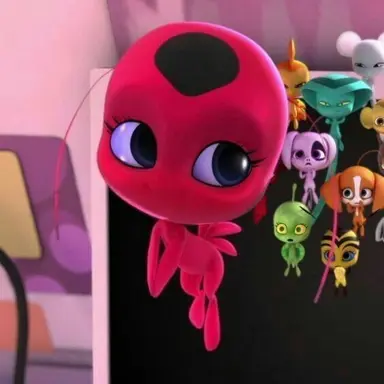 Profile image of Tikki