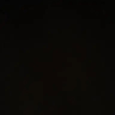 Profile image of 사장