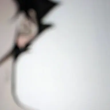 Profile image of 스나 린타로