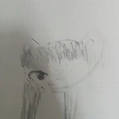 Profile image of 모양몬