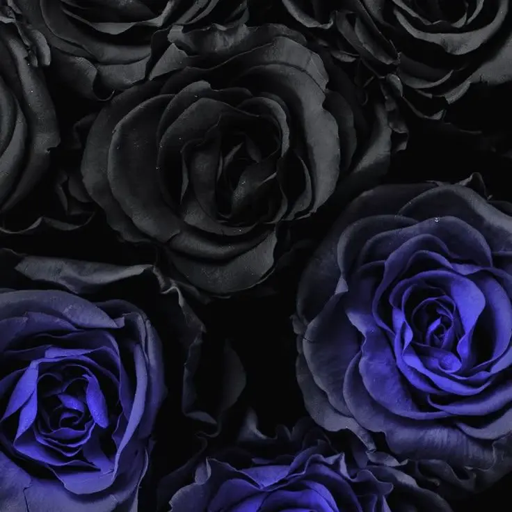 RuuzyuHouou1017의 轟 焦凍