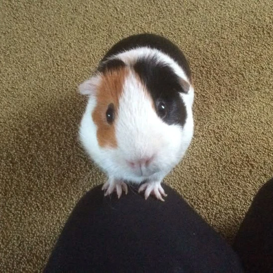 민지선
