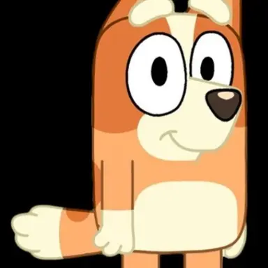 Profile image of Bingo