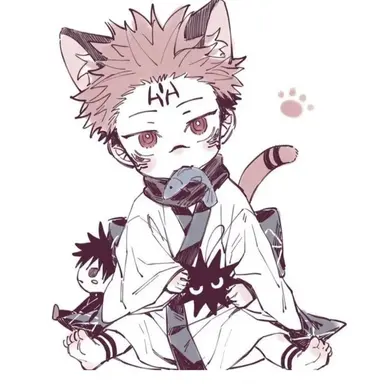Profile image of 양면 스쿠나