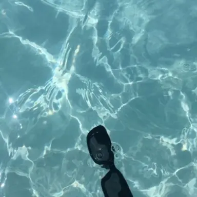 Profile image of 엄태식