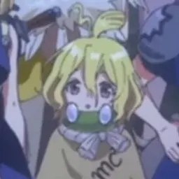 Profile image of スイカ