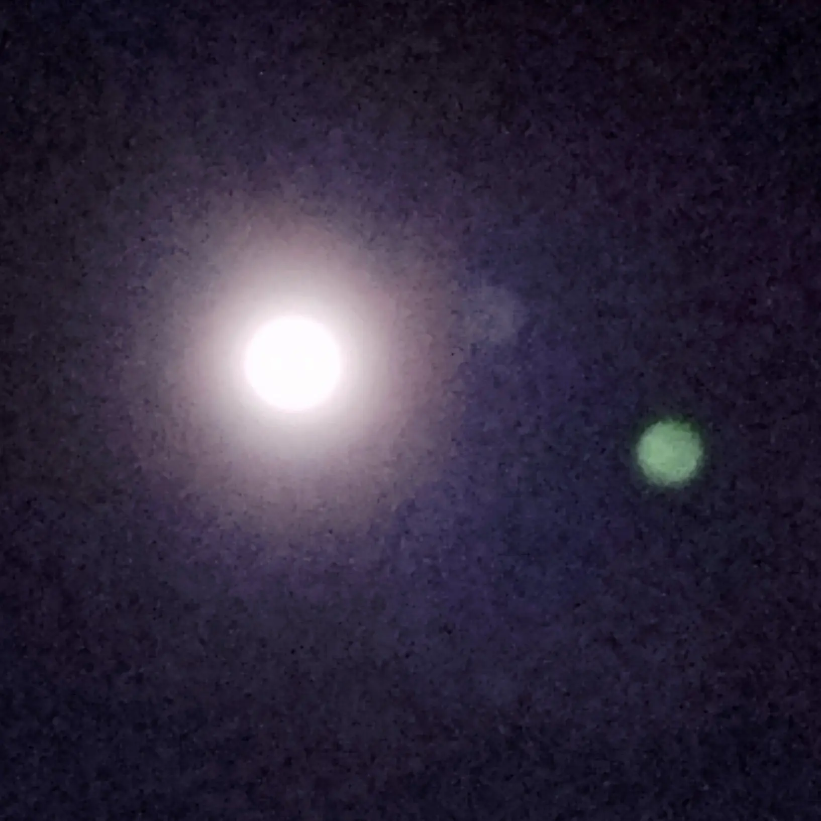 SureAkita5963의 Moonlight