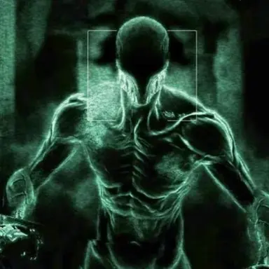 Profile image of The Walrider
