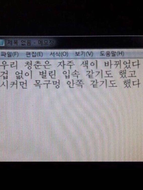 청춘 대표 이미지