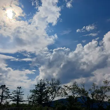 Profile image of 이민호