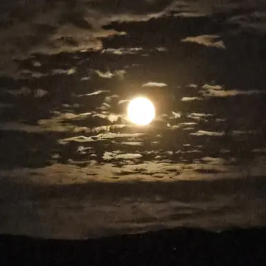 Profile image of 정우영