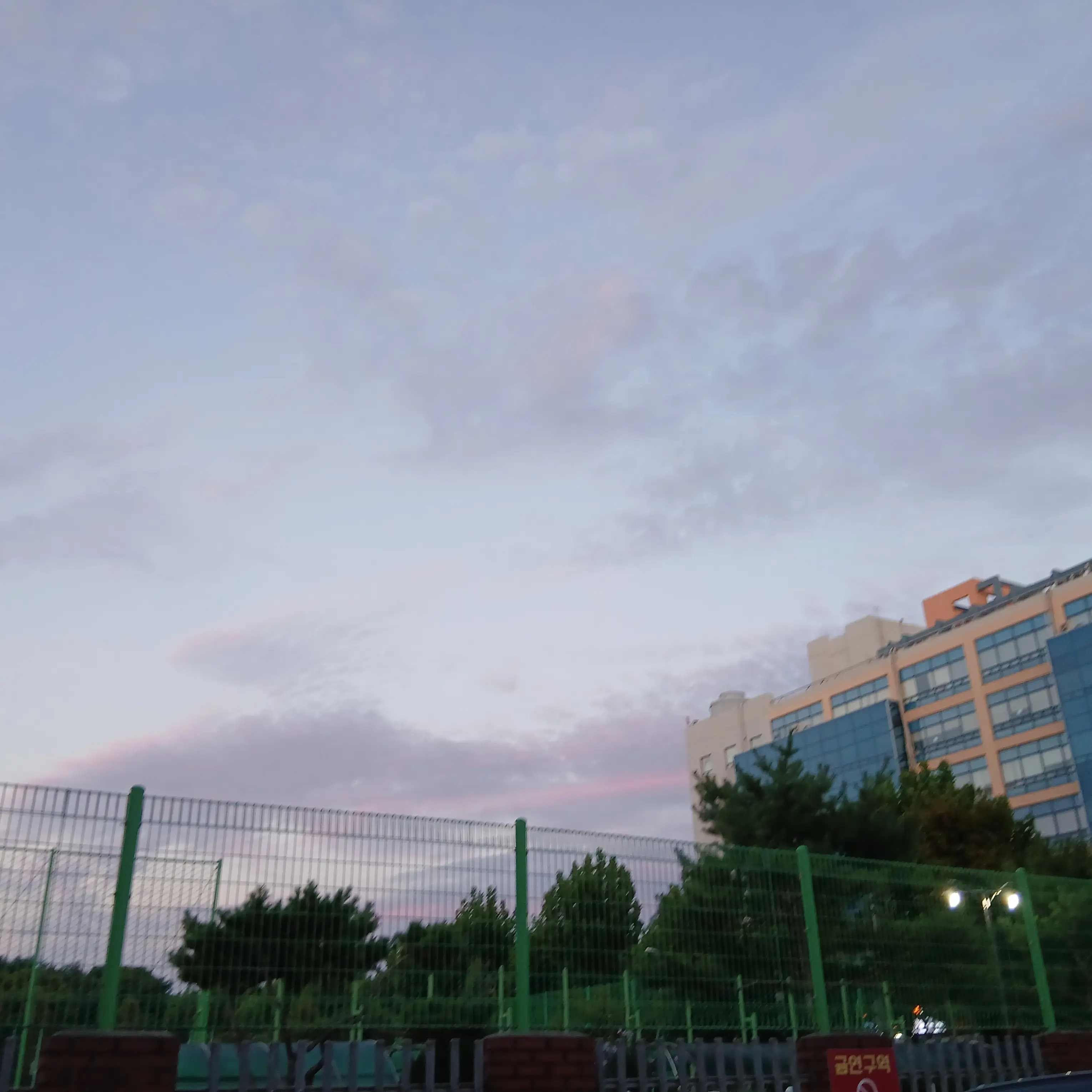 ExoticDull4867의 챠란