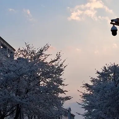 Profile image of 잠뜰