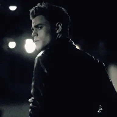 Profile image of Stefan Salvatore