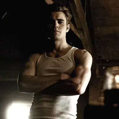 Profile image of Stefan Salvatore