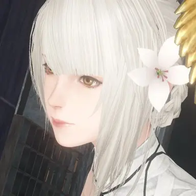Profile image of カイネ