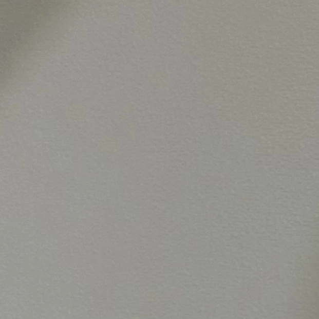 김동현