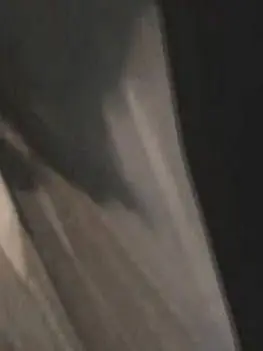 Daesung.s_wife의 강대성 씨