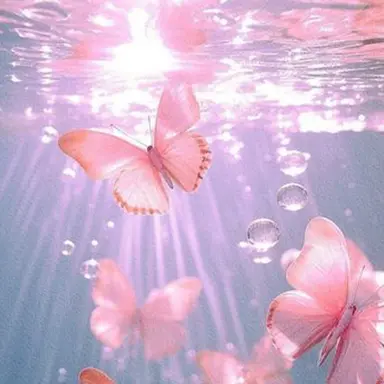 Profile image of 배진솔