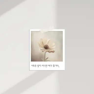 Profile image of 릴리