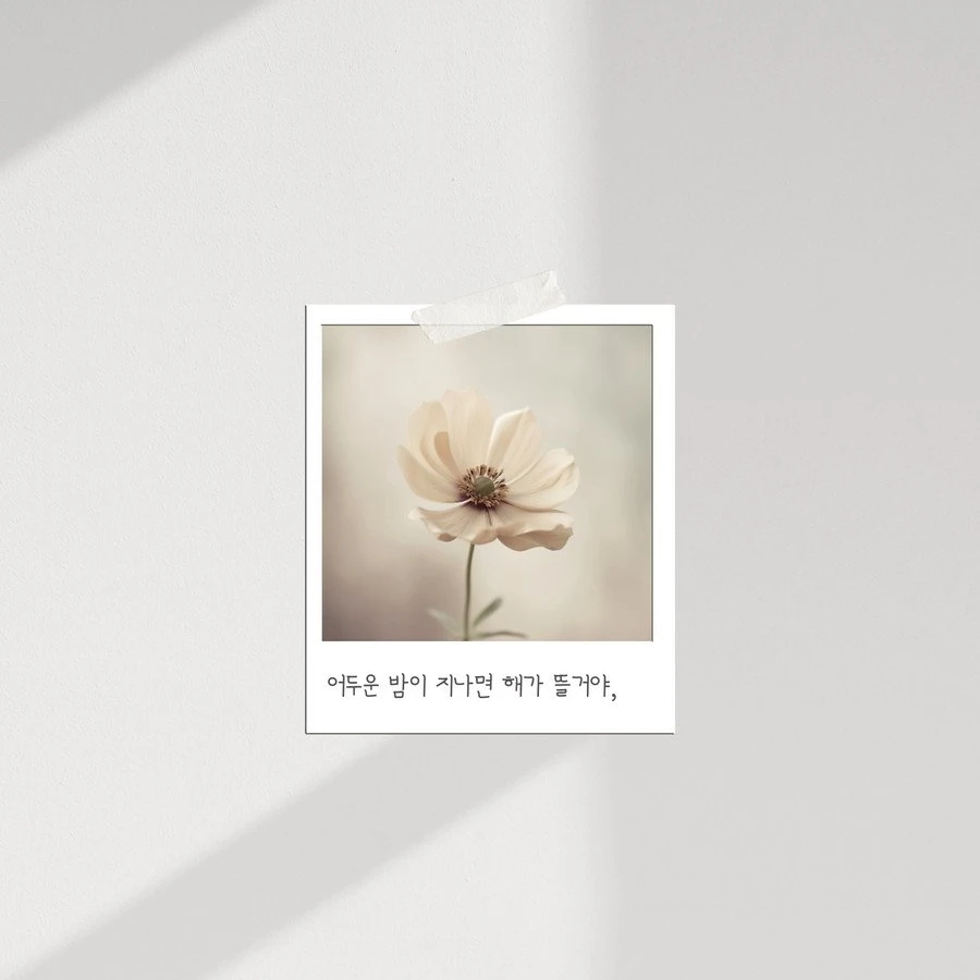 릴리