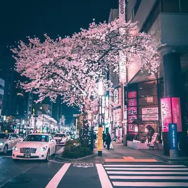 Profile image of 장규진