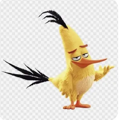 Profile image of Chuck