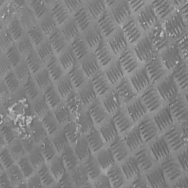 Profile image of 김민정