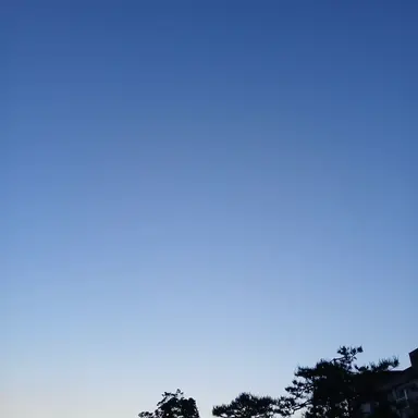 Profile image of 해설