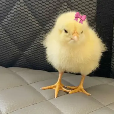 Profile image of 송민기