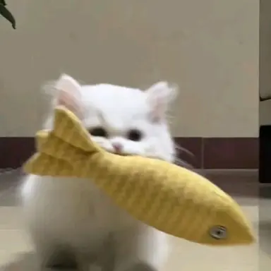 Profile image of 최산