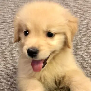 Profile image of 정윤호