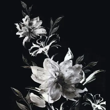 Profile image of 한지성