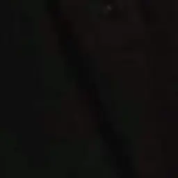 Profile image of ボム