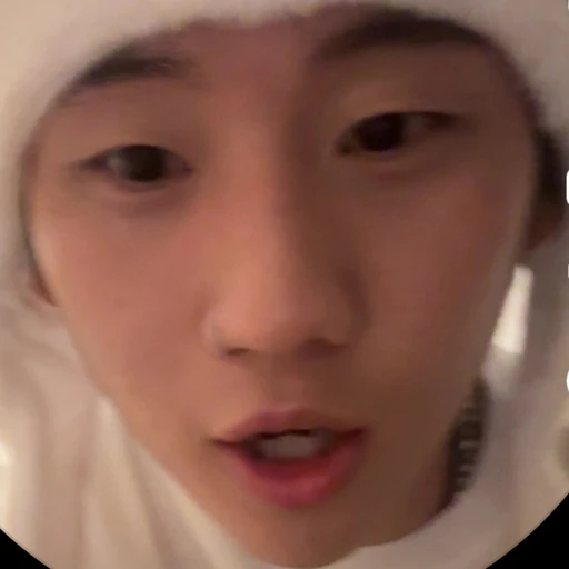 정란이
