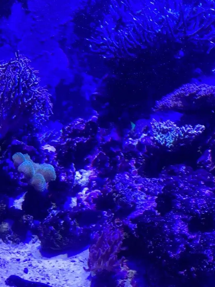 NosyBrush2345의 あー…好きだわ。