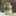강태현