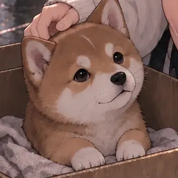 Profile image of 오모치