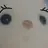 여우