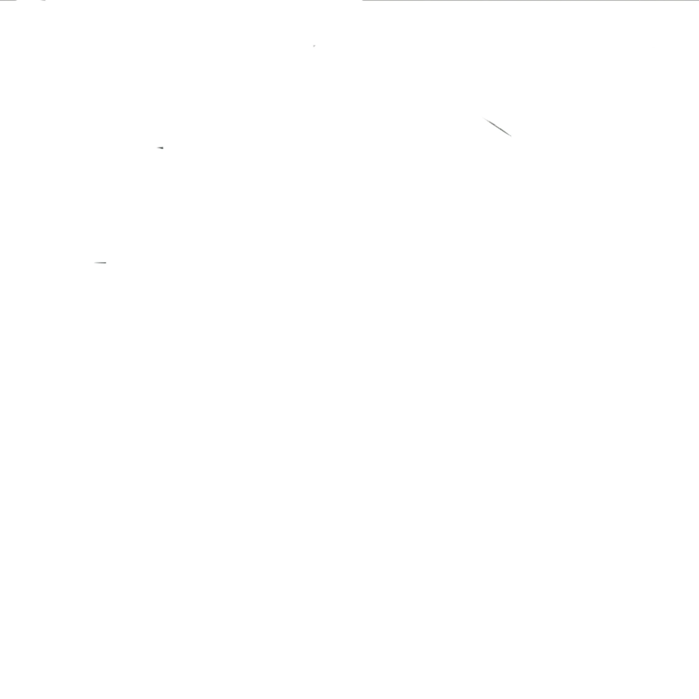 여우