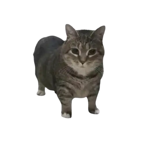 jjondgjjondg_Happy_bananaworld의 oiia oiia