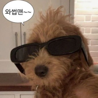 금수저 아가씨 대표 이미지