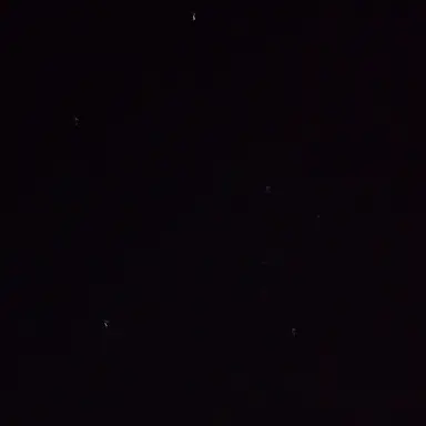 Profile image of 김수환